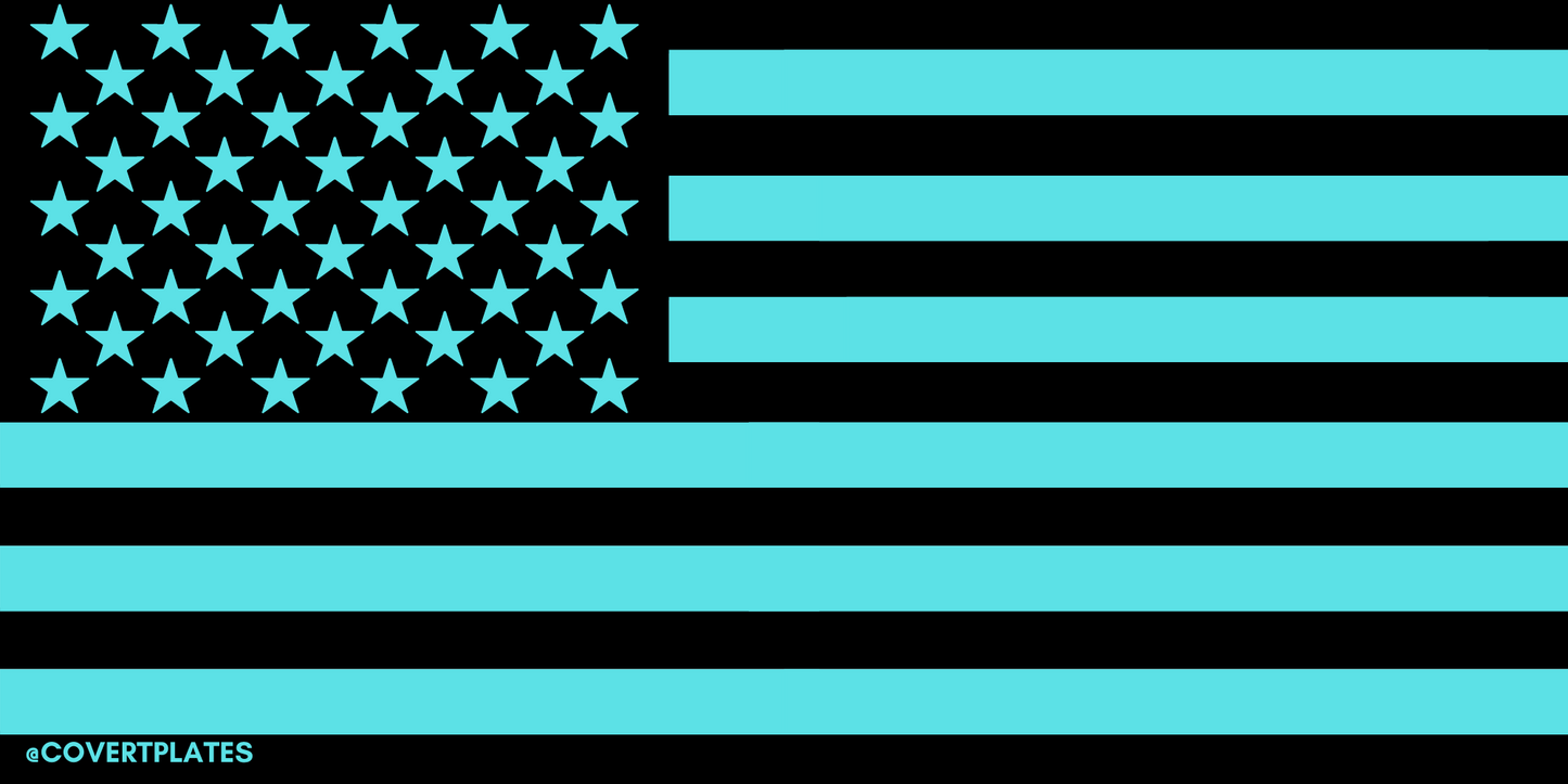 Yeah, it's the American flag. Yeah, it's very blue. Be discrete with your license plate, but not with your pride. Magnetic License Plate Covers are the best way to covert your plate, and advertise for yourself.