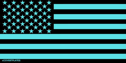 Yeah, it's the American flag. Yeah, it's very blue. Be discrete with your license plate, but not with your pride. Magnetic License Plate Covers are the best way to covert your plate, and advertise for yourself.